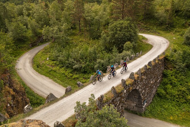Geiranger: Sky to Fjord Downhill Biking Adventure - From Djupvatn Lake, the ride begins at 1,030 meters