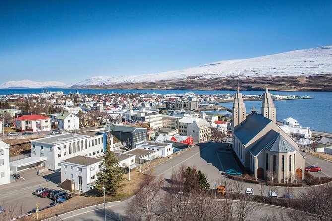Goðafoss Waterfall from Akureyri Port - Who Should Choose This Tour?