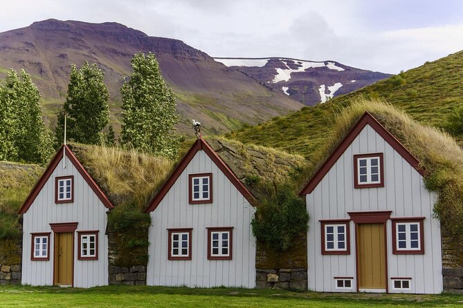 Godafoss Waterfall & Turf House Half-Day Tour from Akureyri Port - Goðafoss gives this short tour a strong centerpiece