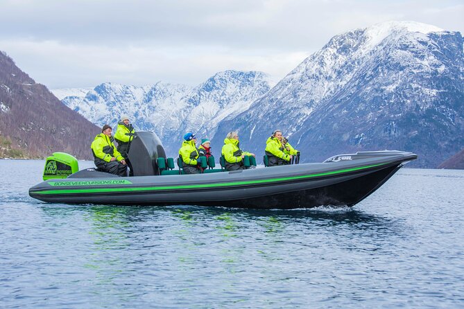 Guided Boat Tour in Geiranger - A 75-minute route with about 30 minutes near the falls