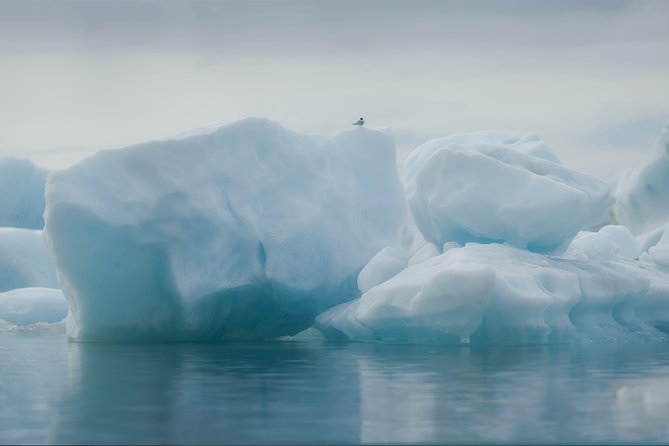 Guided Glacier Lagoon and Diamond Beach Day Trip from Reykjavik - Seljalandsfoss may leave you wet