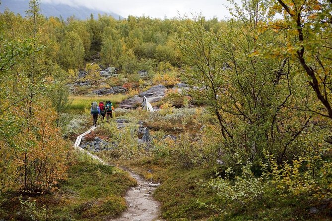 Guided Ice Climbing Activity in Pyhä - The 10-minute hike adds a taste of wilderness