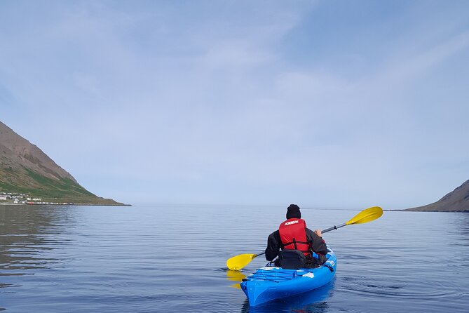 Guided kayak tour in Siglufjörður / Siglufjordur. - Who will enjoy this tour most