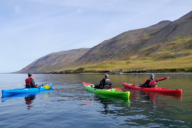 Guided kayak tour in Siglufjörður / Siglufjordur. - Useful planning details before you book