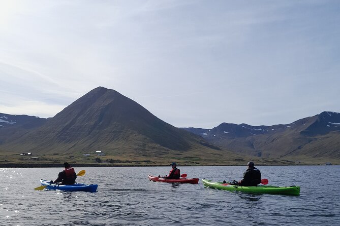 Guided kayak tour in Siglufjörður / Siglufjordur. - The safety briefing gets you moving quickly