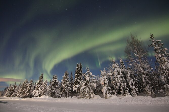 Guided Northern Lights Tour at Kiruna - Photographing the northern lights
