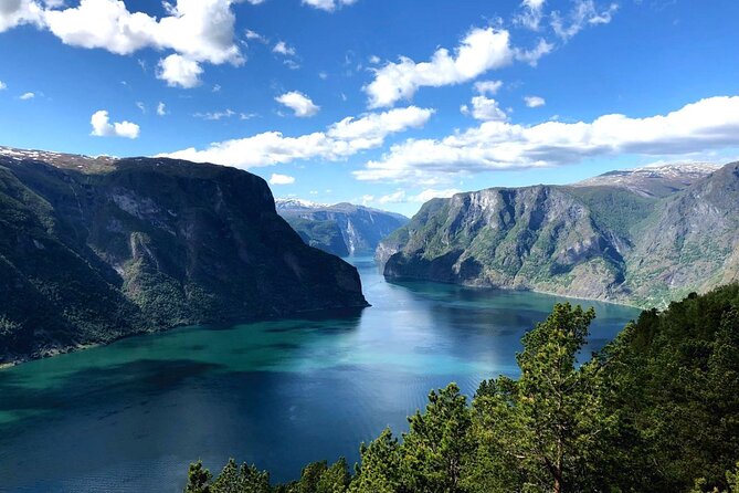Guided Tour To Nærøyfjorden, Flåm And Stegastein - Viewpoint Cruise - Why this Bergen fjord tour works