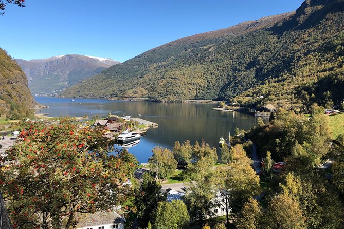 Guided Tour To Nærøyfjorden, Flåm And Stegastein - Viewpoint Cruise - The main event: Nærøyfjord by electric boat