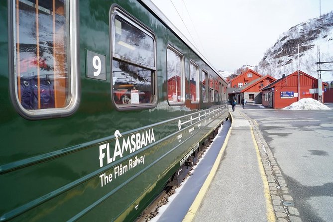Guided tour - Viking Village, Nærøyfjord Cruise and Flåm Railway - The Nærøyfjord cruise from Gudvangen