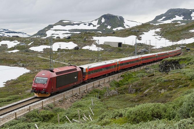 Guided tour - Viking Village, Nærøyfjord Cruise and Flåm Railway - Flåm gives you a short pause before the railway