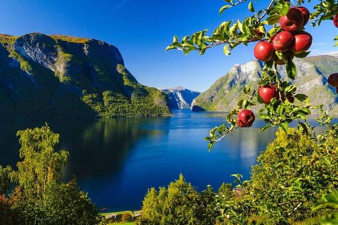 Guided tour - Viking Village, Nærøyfjord Cruise and Flåm Railway - From Bergen through Voss and the mountain roads
