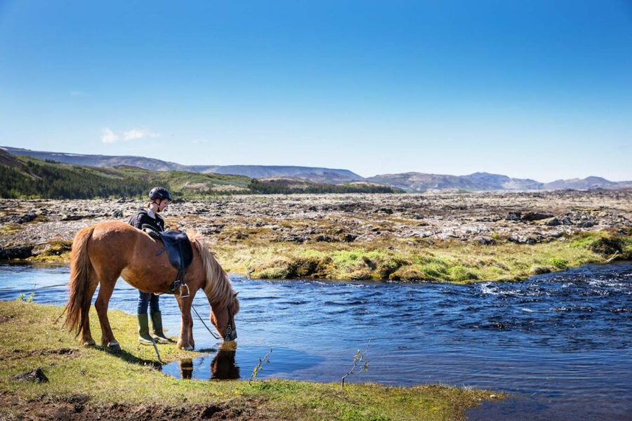 Hafnarfjörður: Horseback Riding Tour in Reykjavik Area - Quick take: what makes this ride worthwhile