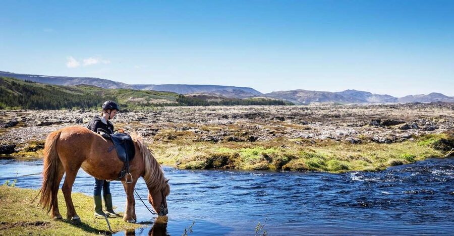 Hafnarfjörður: Horseback Riding Tour in Reykjavik Area - A gentle start near Reykjavík