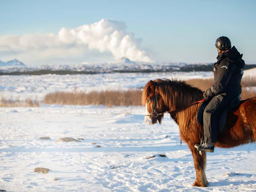 Hafnarfjörður: Horseback Riding Tour in Reykjavik Area - Why the small group matters