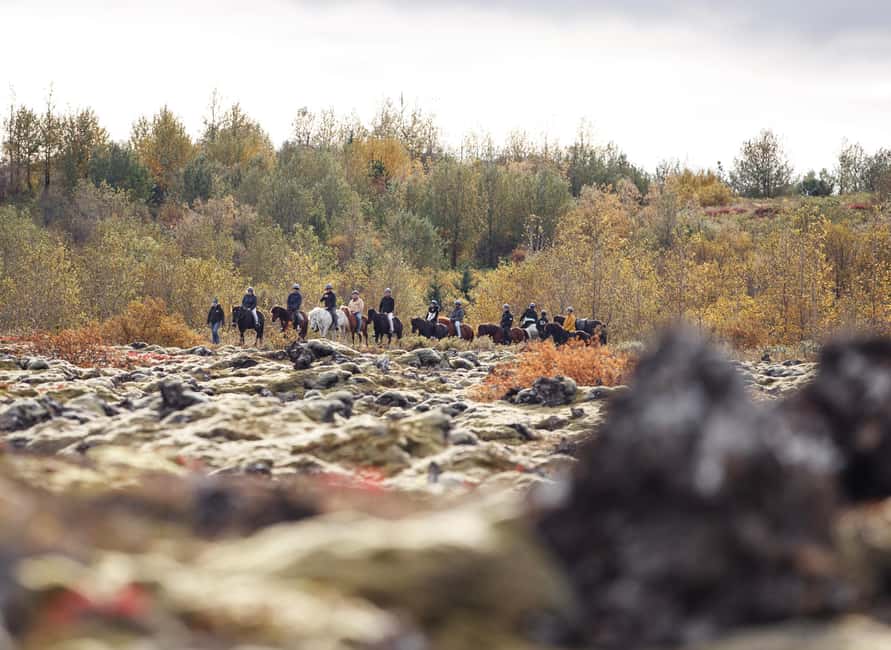 Hafnarfjörður: Horseback Riding Tour in Reykjavik Area - A useful choice for first-time riders