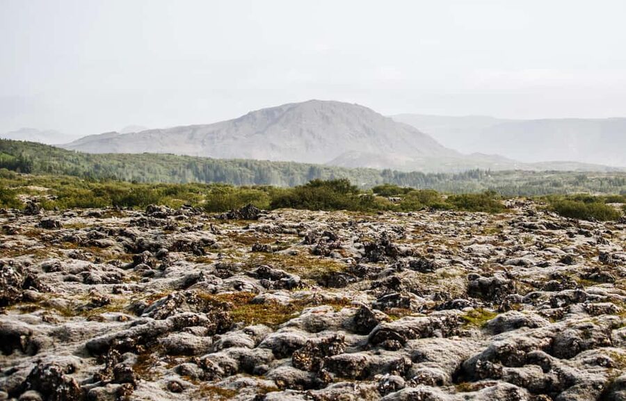 Hafnarfjörður: Horseback Riding Tour in Reykjavik Area - Who should book this Hafnarfjörður ride?