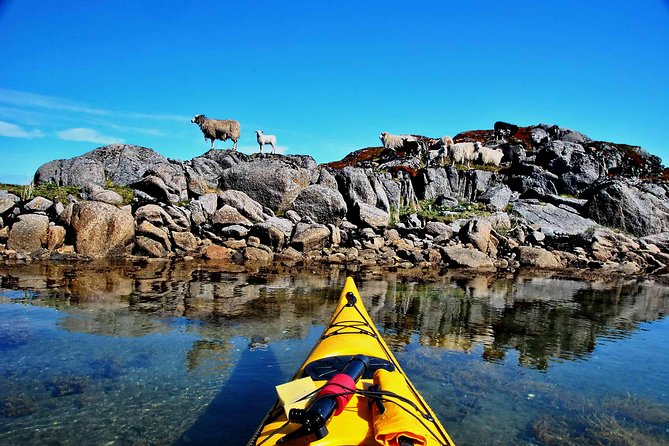 Half Day Kayak - Northern Explores AS - Should you book Northern Explorer’s half-day kayak?