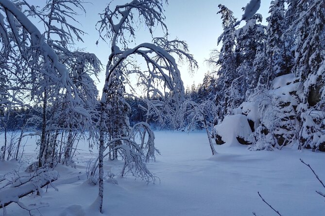 Half-Day Nature Adventure to Nuuksio National Park from Helsinki - From Helsinki station to Finland’s forest country