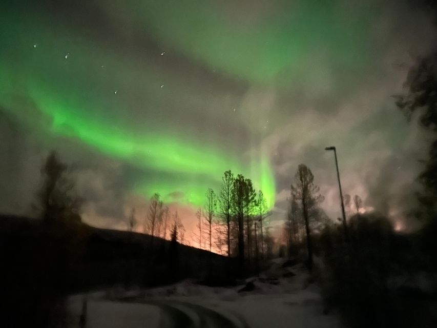 Harstad/Narvik/Tjeldsund: Northern Lights Sightseeing by Car - Who will get the most from this tour