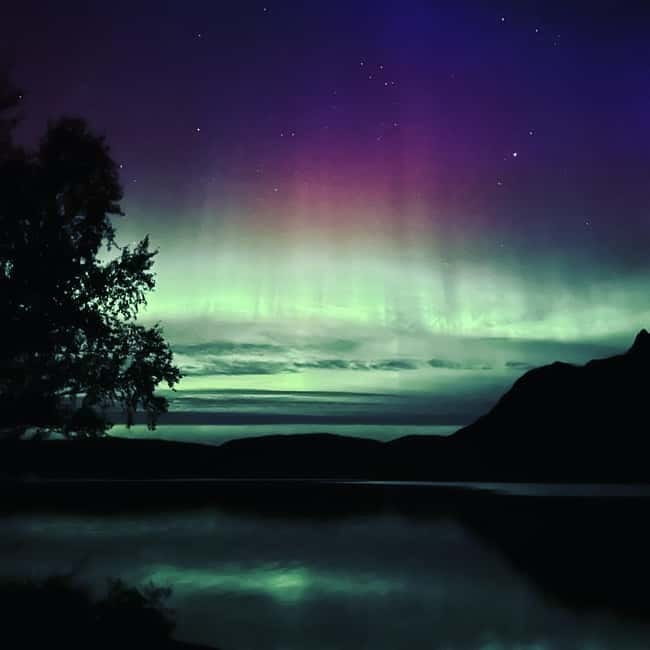 Harstad/Narvik/Tjeldsund: Northern Lights Sightseeing by Car - The drive through fjords and mountain country