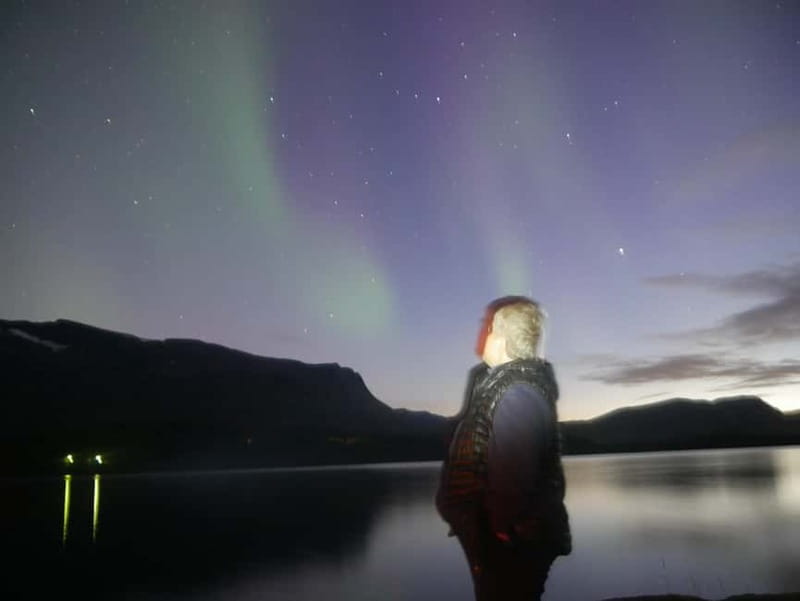Harstad/Narvik/Tjeldsund: Northern Lights Sightseeing by Car - Optional mountain, fishing, and barbecue time