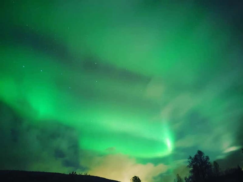 Harstad/Narvik/Tjeldsund: Northern Lights Sightseeing by Car - Wine, warmth, and the human side of the evening
