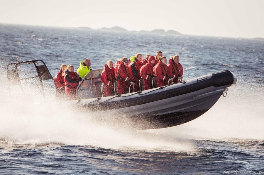 Haugesund: RIB Safari to the island communities - What the local captain adds
