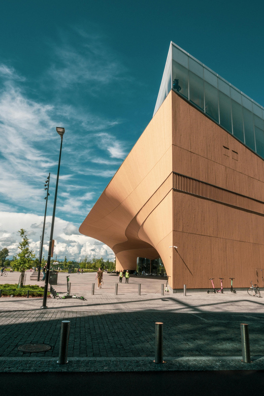 Helsinki: Architectural Highlights Guided Walking Tour - Walking comfort, weather, and timing