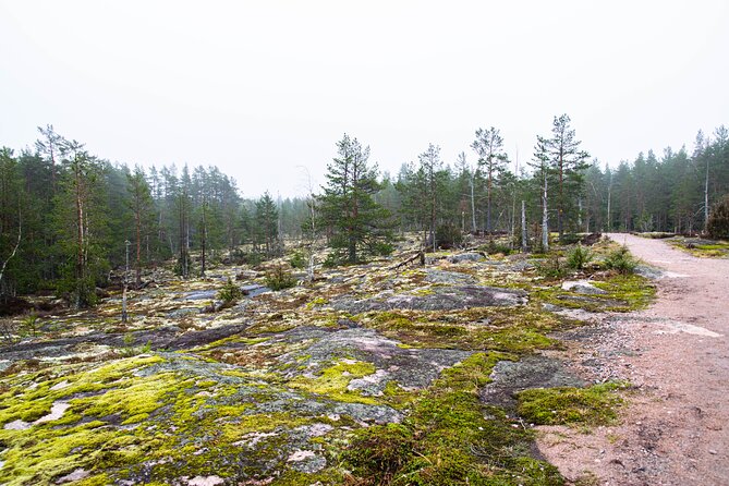 Helsinki: Nuuksio National park hiking with campfire lunch - Guides who make the forest easier to understand