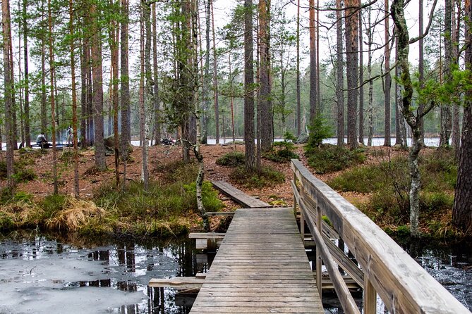 Helsinki: Nuuksio National park hiking with campfire lunch - A 7.5 km route with views worth earning