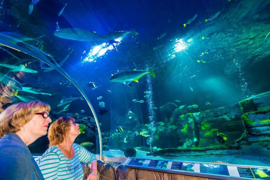 Helsinki: Sea Life Entrance Tickets - Key points to know before you go