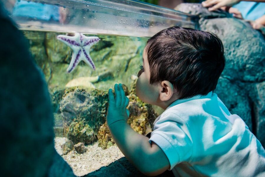 Helsinki: Sea Life Entrance Tickets - Fifty aquariums and 100 species
