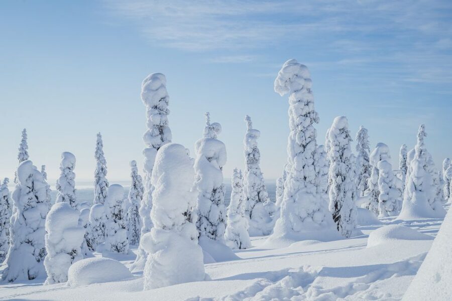 Hiking in Riisitunturi National Park with Photographer - The long road from Rovaniemi to Riisitunturi