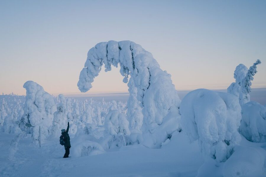 Hiking in Riisitunturi National Park with Photographer - Entering Riisitunturi’s snow-covered world