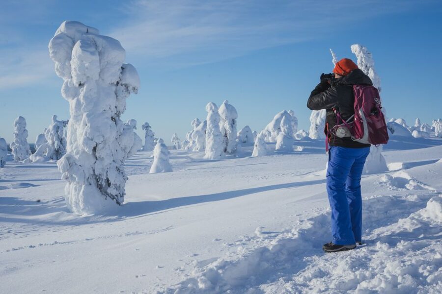 Hiking in Riisitunturi National Park with Photographer - Cold-weather comfort and physical demands