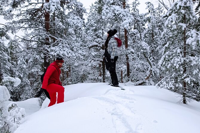 Hiking tour in Nuuksio National Park with meal and snacks - Why Nuuksio makes a good break from Helsinki