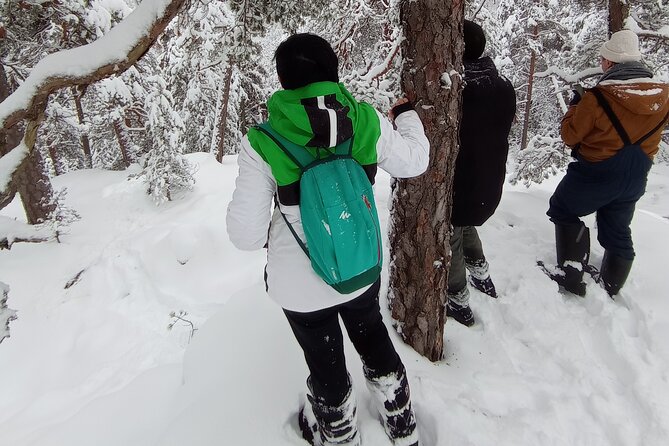 Hiking tour in Nuuksio National Park with meal and snacks - Mushroom soup beside a Finnish lake