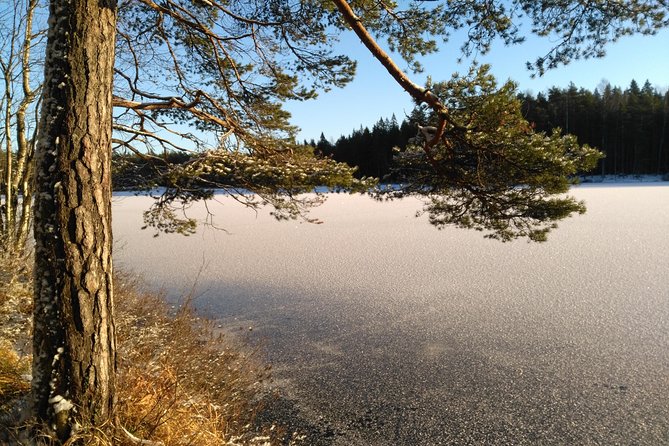 Hiking tour in Nuuksio National Park with meal and snacks - What the trail feels like in each season
