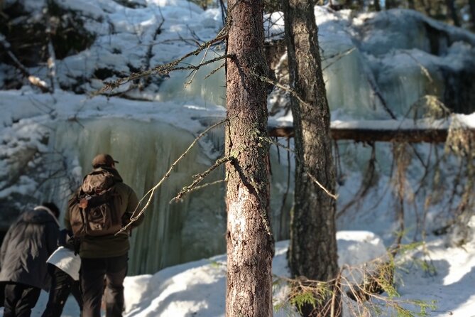 Hiking tour in Nuuksio National Park with meal and snacks - How hard is the hike?