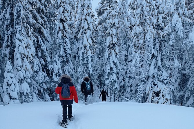 Hiking tour in Nuuksio National Park with meal and snacks - Following a five-kilometer route through Nuuksio
