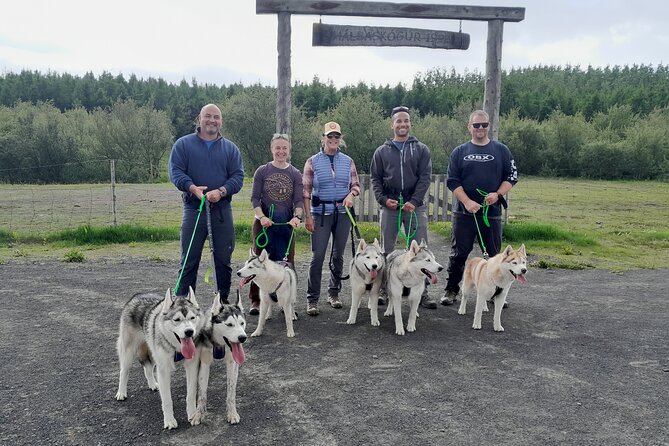Hiking with Husky in Akureyri - Arriving at a real husky home near Akureyri