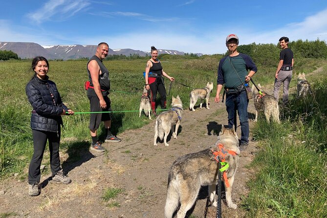 Hiking with Husky in Akureyri - The hike: fresh air, strong dogs, and open views