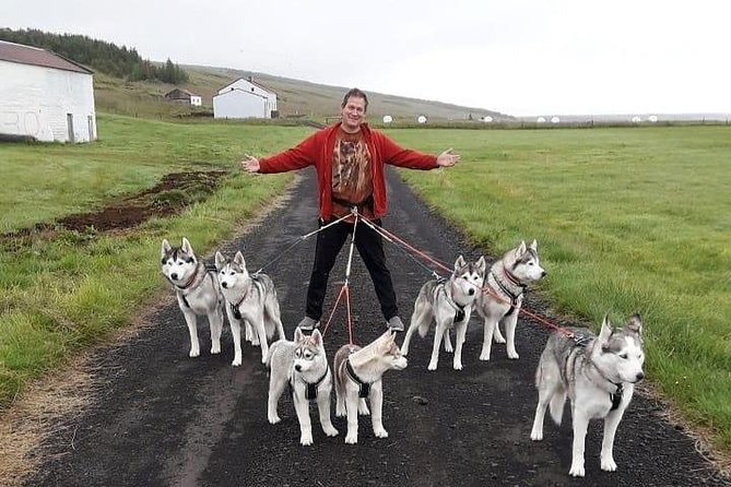 Hiking with Husky in Akureyri (private) - What the private format is really worth