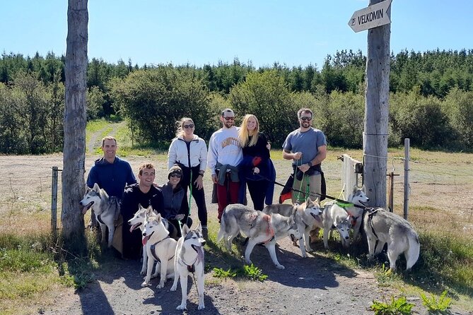 Hiking with Husky in Akureyri (private) - Family comfort and physical effort