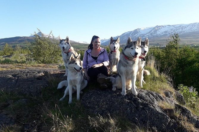 Hiking with Husky in Akureyri (private) - A two-hour visit that feels personal