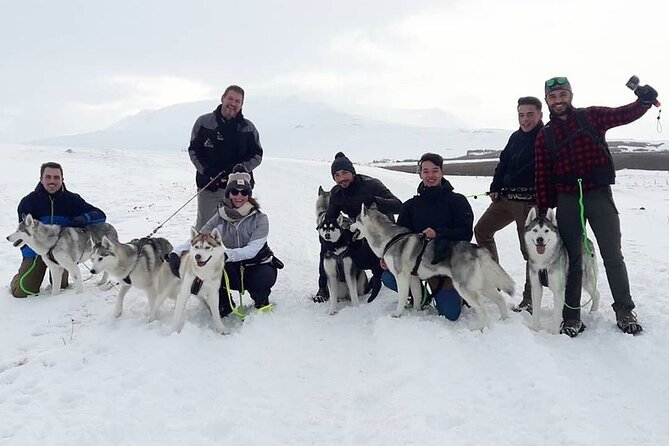 Hiking with Husky in Akureyri (private) - Who should book the goHusky hike