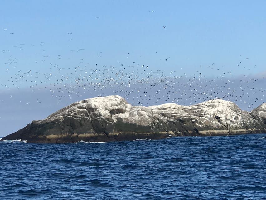 Honningsvåg: North Cape King Crab & Arctic Wildlife Safari - The final fishing facility near Honningsvåg