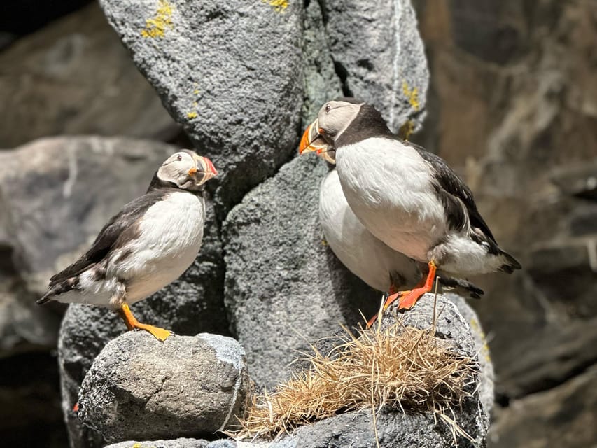 Honningsvåg: North Cape Summer Tour with Sami Family Visit - What the Sami visit really means
