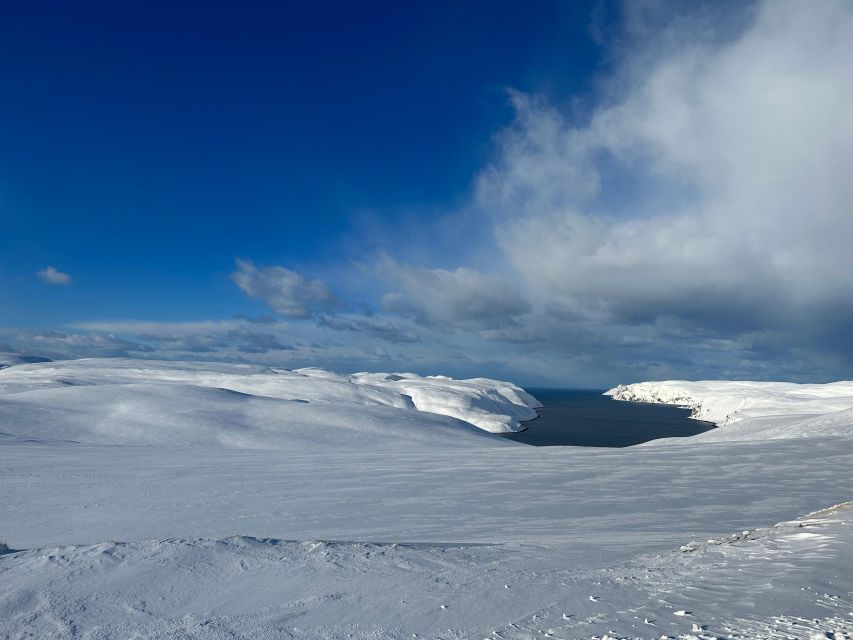 Honningsvåg: North Cape Winter Excursion with Entry Ticket - The value of the $219 price