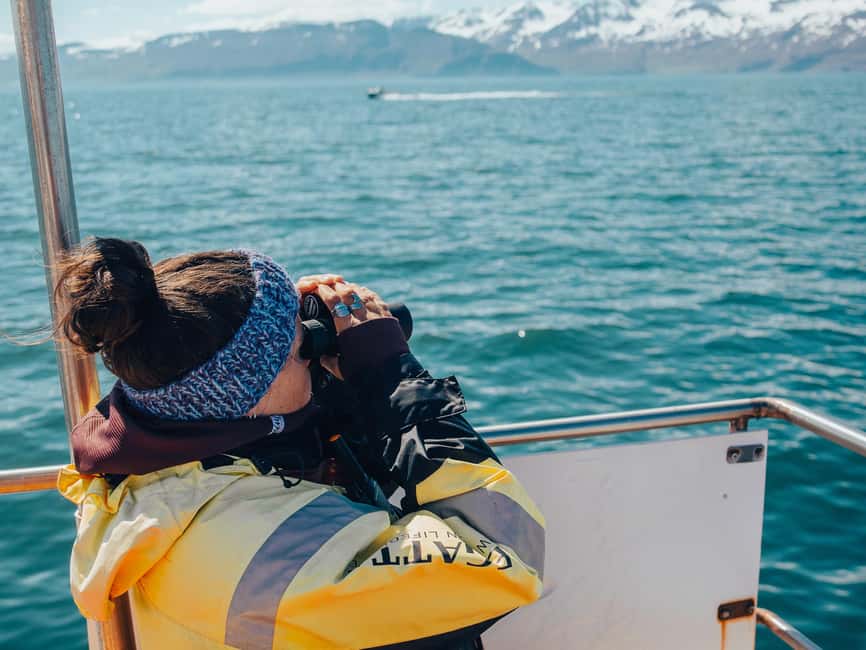Húsavík: Family-Run and Guided Whale Watching Tour - The guide makes the difference